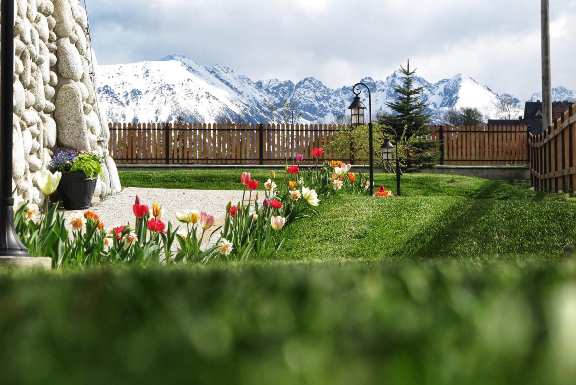 Domek Folkowa Chata Poronin Dış mekan fotoğraf